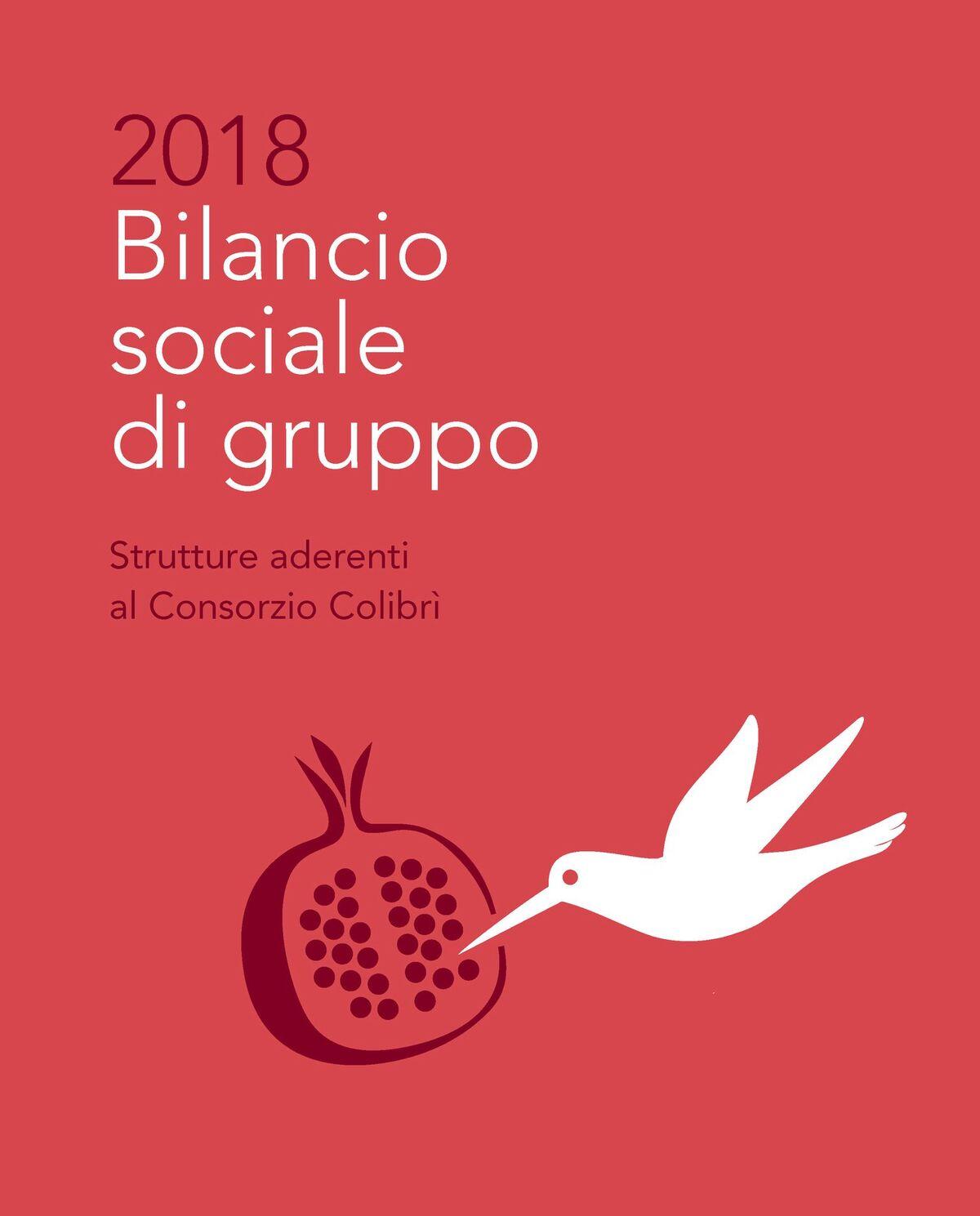 Copertina Bilancio Sociale Colibrì