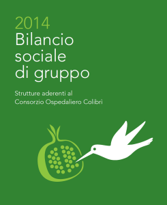 bilancio-2014-it-245x300