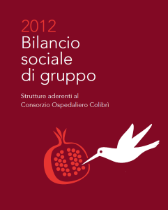 copertina-bilancio-2012-241x300