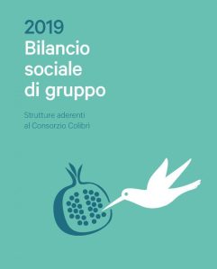 Colibri.Bilancio.2019-cover-768x953